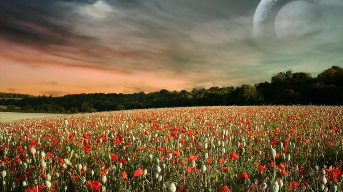 为什么一部分 Go 布道师的博客不更新了？